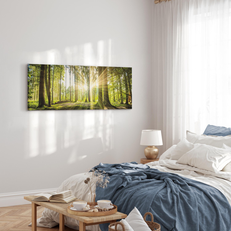 Canvas Print Daylight (1 Part) Wide Green 106978 additionalImage 4
