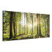 Canvas Print Daylight (1 Part) Wide Green 106978 additionalThumb 2