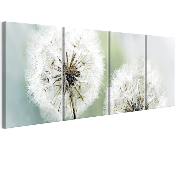 Canvas Fluffy Dandelions (4-part) Green - Dandelion as a Summer Flower 107478 additionalImage 2