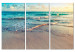 Canvas Art Print Beach in Punta Cana (3 Parts) 107878