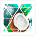 Wall Poster Coconut (Square) - geometric abstraction with a tropical fruit 114578 additionalThumb 19