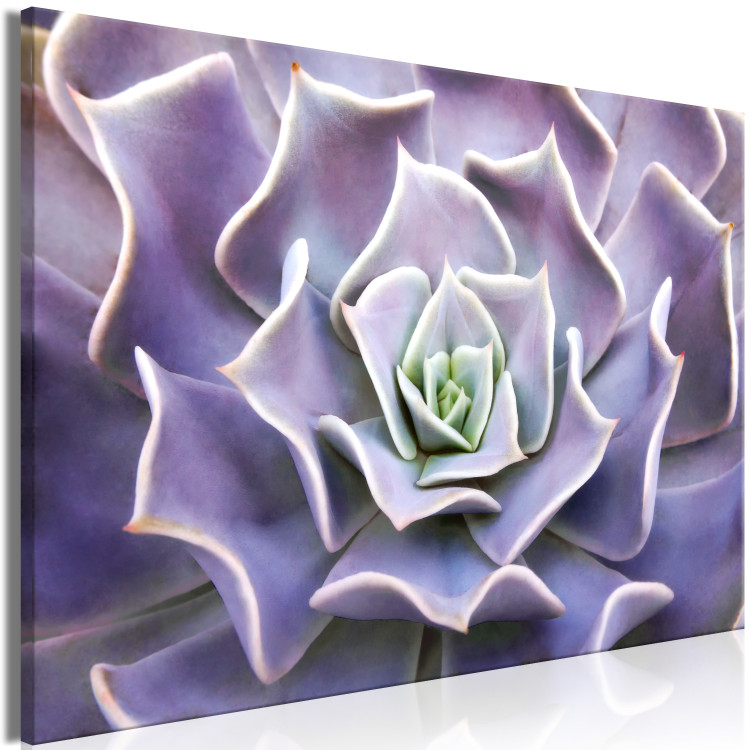 Canvas Purple Bloom (1-part) - Cactus Flower in Subtle Hue 117178 additionalImage 2