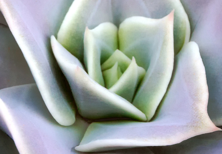 Canvas Purple Bloom (1-part) - Cactus Flower in Subtle Hue 117178 additionalImage 5