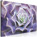 Canvas Purple Bloom (1-part) - Cactus Flower in Subtle Hue 117178 additionalThumb 2
