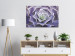 Canvas Purple Bloom (1-part) - Cactus Flower in Subtle Hue 117178 additionalThumb 3