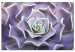 Canvas Purple Bloom (1-part) - Cactus Flower in Subtle Hue 117178
