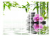 Room Separator Water Garden II - stones and pink flower against a bamboo background in a Zen motif 122678 additionalThumb 3