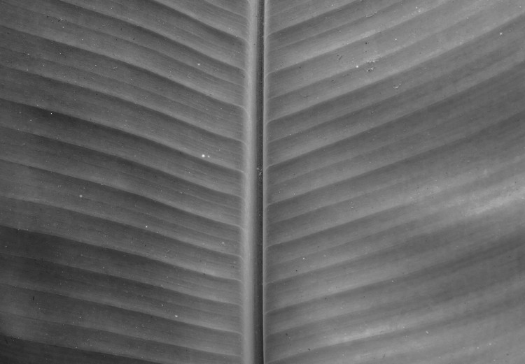 Canvas Print Banana leaf with vases - black and white abstract composition 123278 additionalImage 5