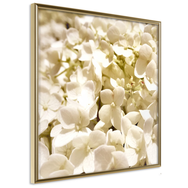 Wall Poster White Meadow - field full of white plants with a subtle yellow contrast 123478 additionalImage 14