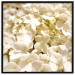 Wall Poster White Meadow - field full of white plants with a subtle yellow contrast 123478 additionalThumb 19