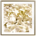 Wall Poster White Meadow - field full of white plants with a subtle yellow contrast 123478 additionalThumb 27