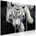 Canvas Print Calm tiger - triptych with a lying tiger on a black background 128778 additionalThumb 2