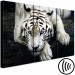 Canvas Print Calm tiger - triptych with a lying tiger on a black background 128778 additionalThumb 6