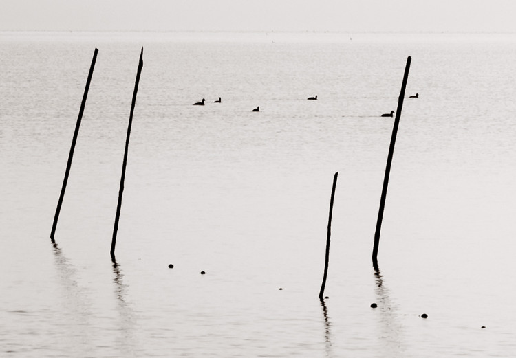 Wall Poster Misty Trail - landscape of sticks protruding from the water on a white background 130378 additionalImage 12