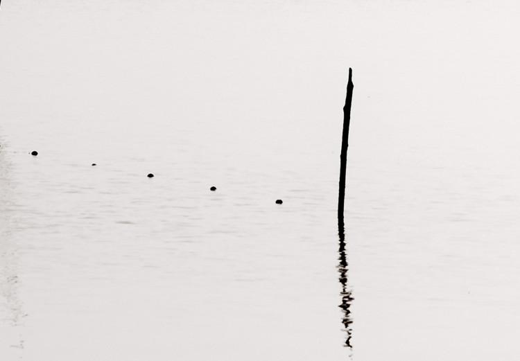 Wall Poster Misty Trail - landscape of sticks protruding from the water on a white background 130378 additionalImage 9