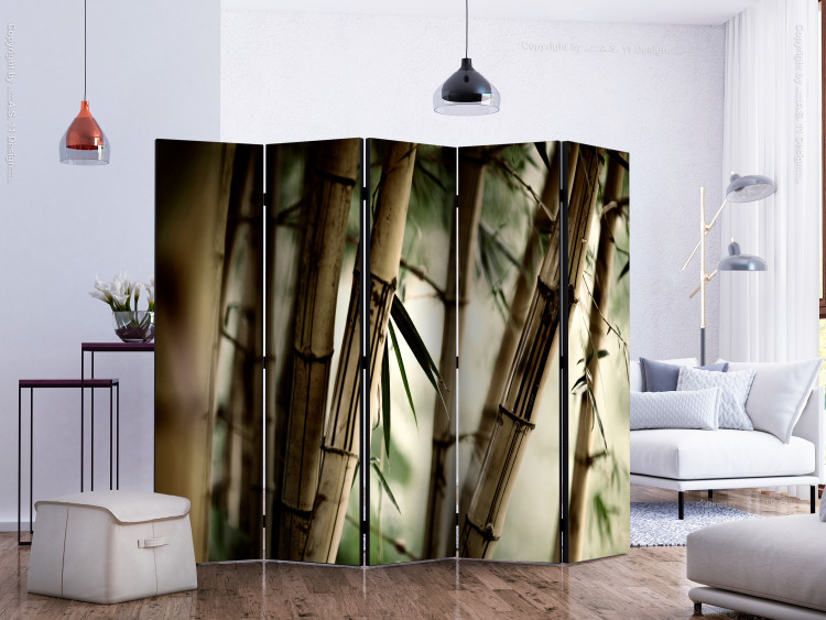 Room Separator Fog and Bamboo Forest II (5-piece) - bamboo poles in the forest 132578 additionalImage 2