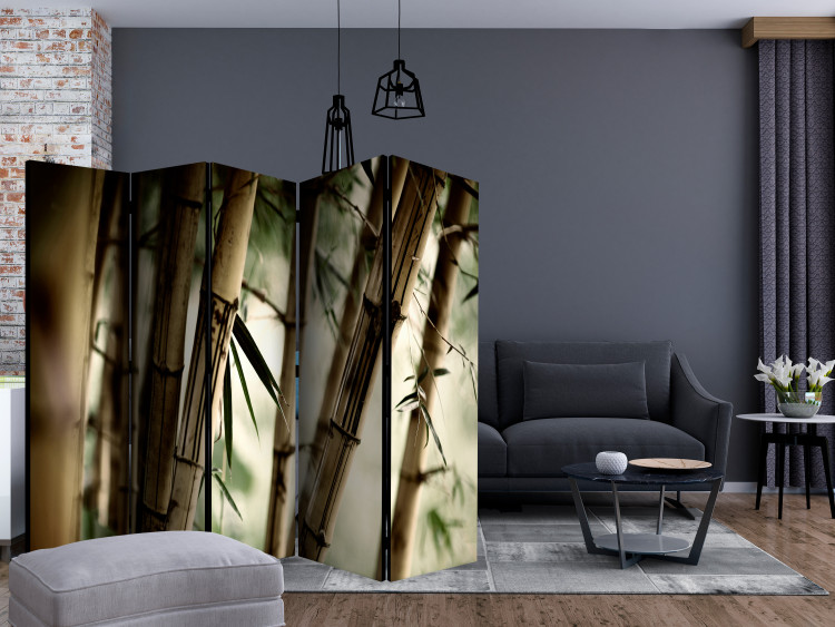 Room Separator Fog and Bamboo Forest II (5-piece) - bamboo poles in the forest 132578 additionalImage 4
