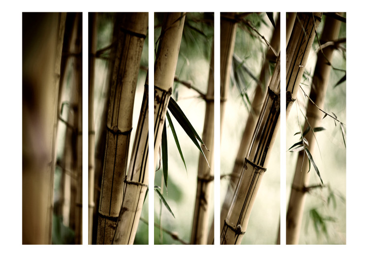Room Separator Fog and Bamboo Forest II (5-piece) - bamboo poles in the forest 132578 additionalImage 3