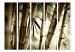 Room Separator Fog and Bamboo Forest II (5-piece) - bamboo poles in the forest 132578 additionalThumb 3