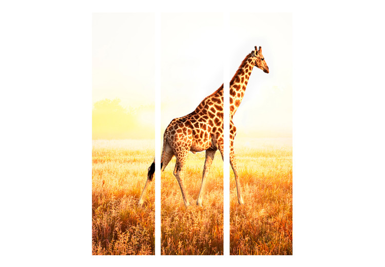Room Separator Giraffe - Stroll (3-piece) - wild animal against a sunny field 133378 additionalImage 3