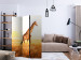 Room Separator Giraffe - Stroll (3-piece) - wild animal against a sunny field 133378 additionalThumb 4