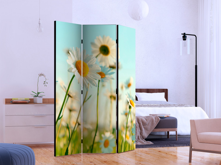 Room Divider Daisies - Spring Meadow - meadow full of spring white flowers 133978 additionalImage 2