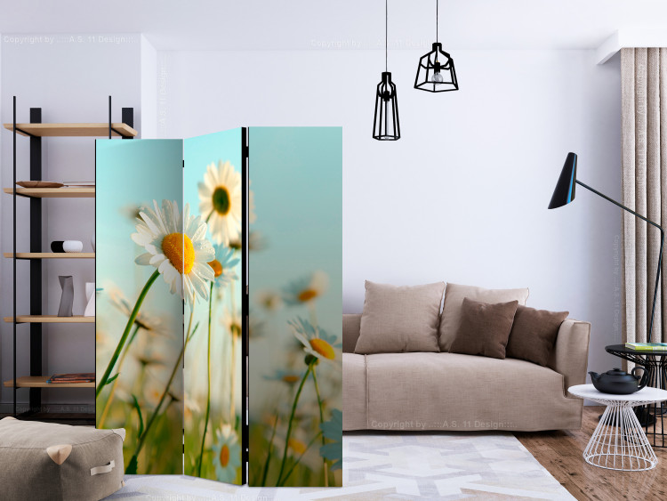 Room Divider Daisies - Spring Meadow - meadow full of spring white flowers 133978 additionalImage 4