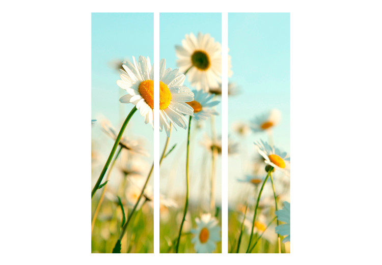 Room Divider Daisies - Spring Meadow - meadow full of spring white flowers 133978 additionalImage 3