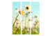 Room Divider Daisies - Spring Meadow - meadow full of spring white flowers 133978 additionalThumb 3