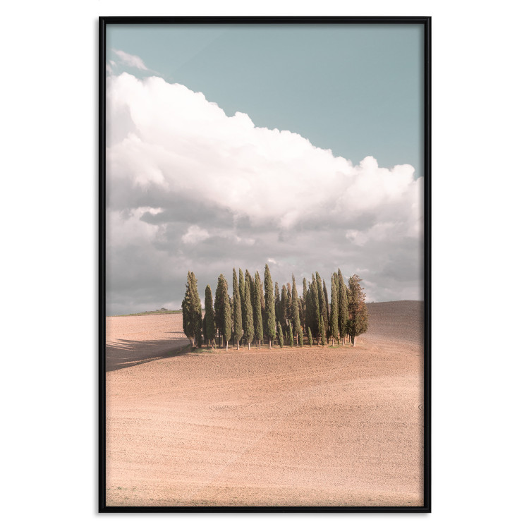 Wall Poster Sweet Tuscany - warm landscape of a field against trees and clouds 135878 additionalImage 14