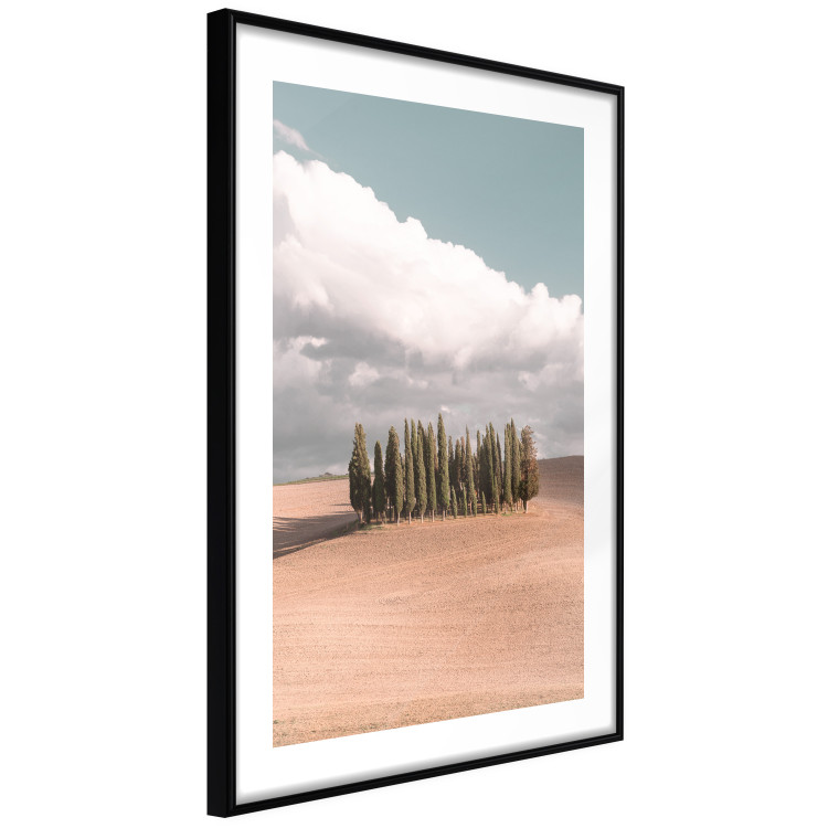 Wall Poster Sweet Tuscany - warm landscape of a field against trees and clouds 135878 additionalImage 5