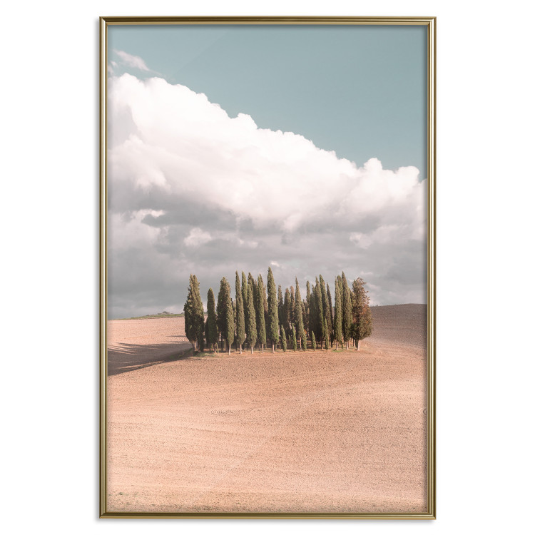 Wall Poster Sweet Tuscany - warm landscape of a field against trees and clouds 135878 additionalImage 15