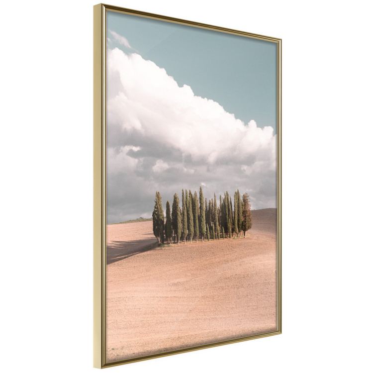 Wall Poster Sweet Tuscany - warm landscape of a field against trees and clouds 135878 additionalImage 8