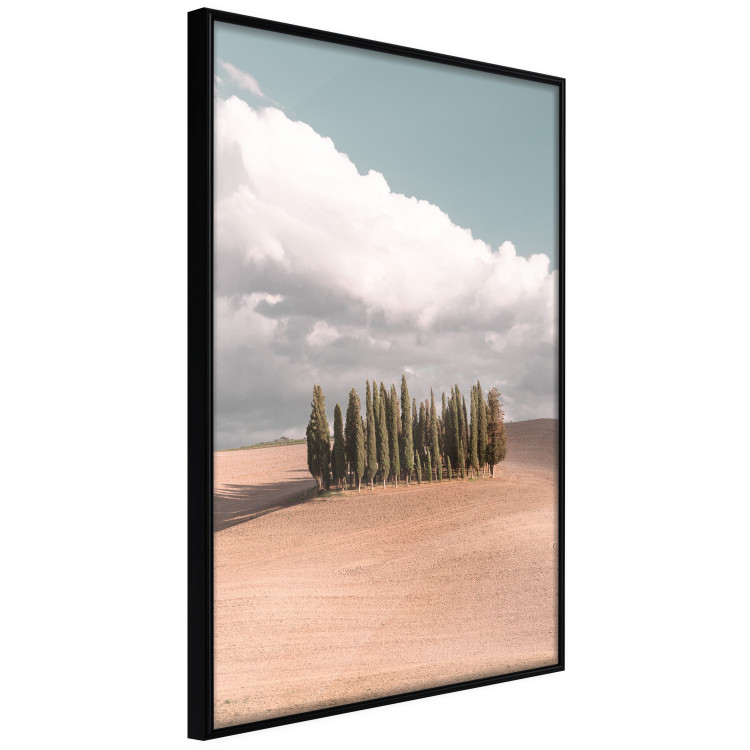 Wall Poster Sweet Tuscany - warm landscape of a field against trees and clouds 135878 additionalImage 3