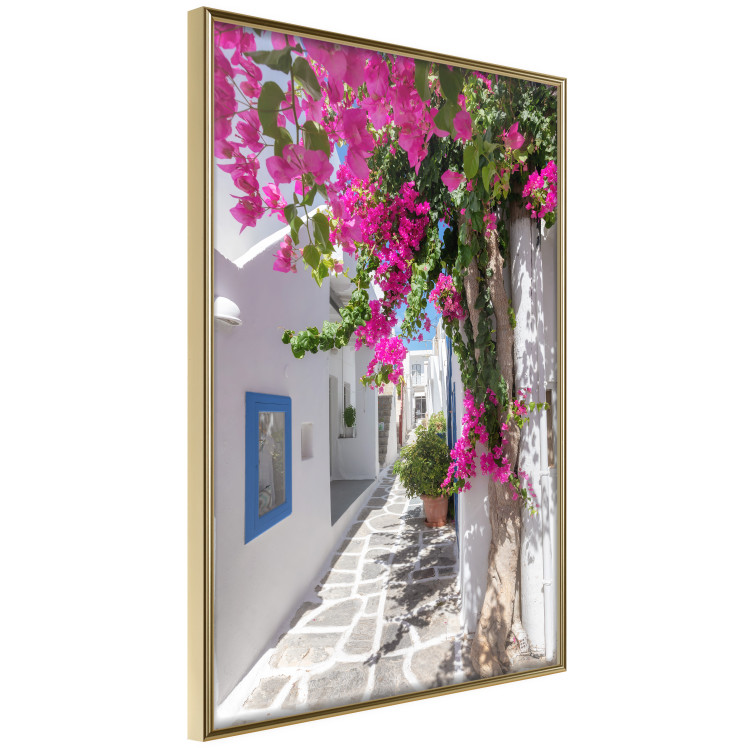 Wall Poster Lonely Alley - a summer landscape of Greek architecture amidst nature 136078 additionalImage 8