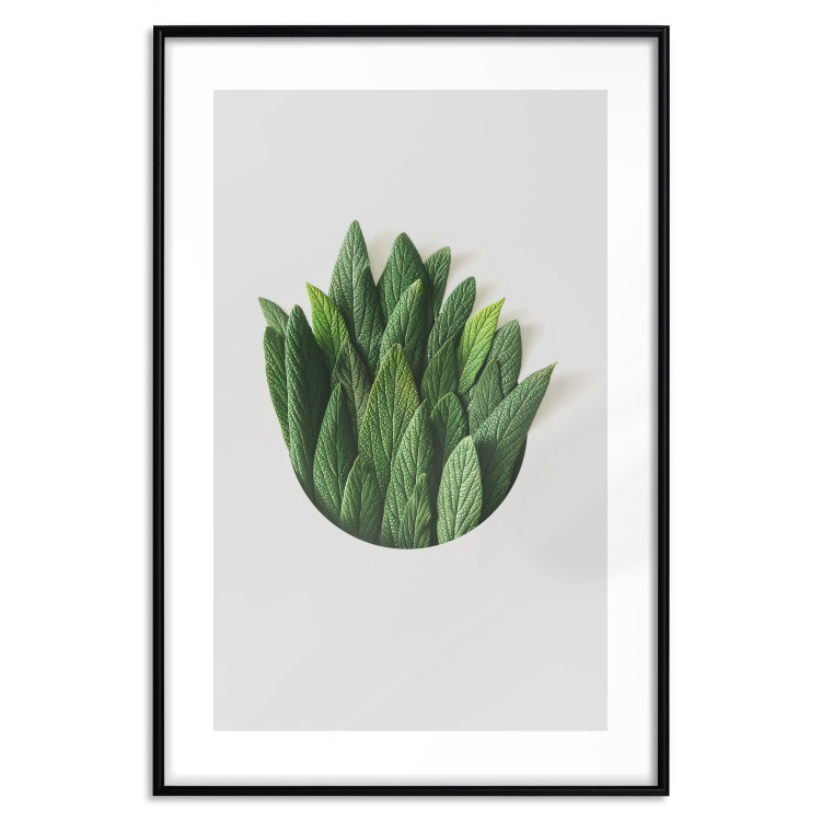 Poster Fragrant Circle - plant composition with green leaves on a white background 137278 additionalImage 6