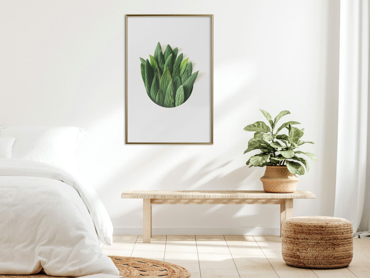 Poster Fragrant Circle - plant composition with green leaves on a white background 137278 additionalImage 17