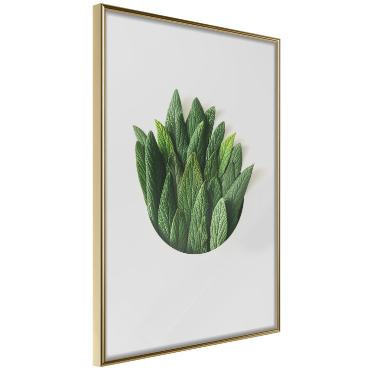 Poster Fragrant Circle - plant composition with green leaves on a white background 137278 additionalImage 26