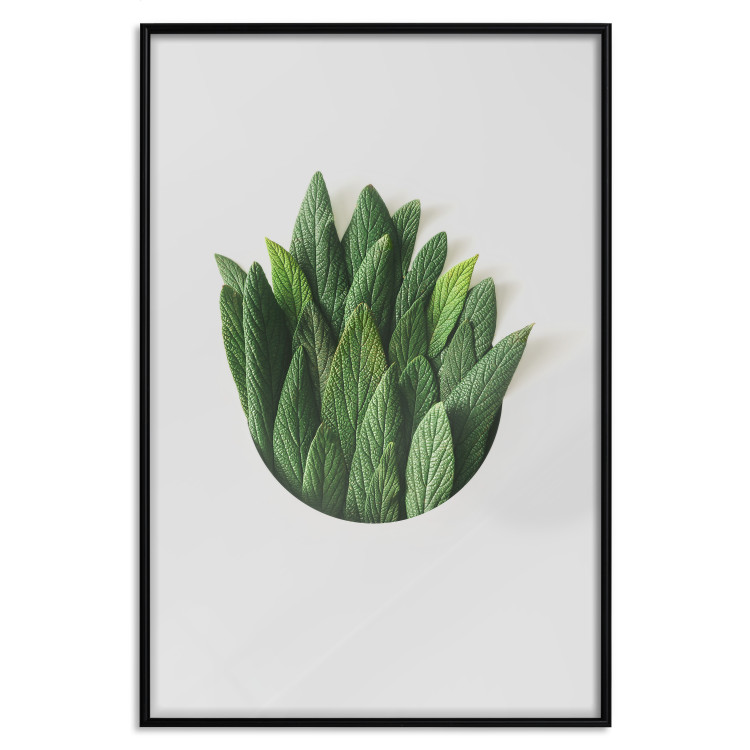 Poster Fragrant Circle - plant composition with green leaves on a white background 137278 additionalImage 10