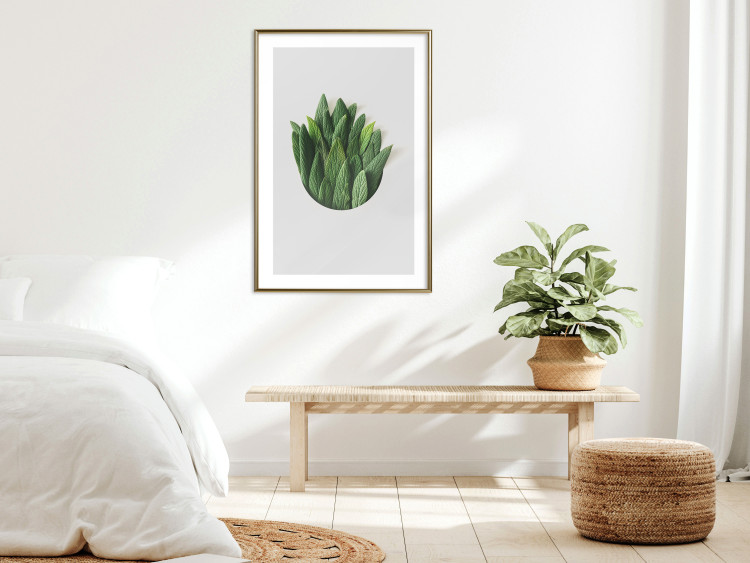 Poster Fragrant Circle - plant composition with green leaves on a white background 137278 additionalImage 11