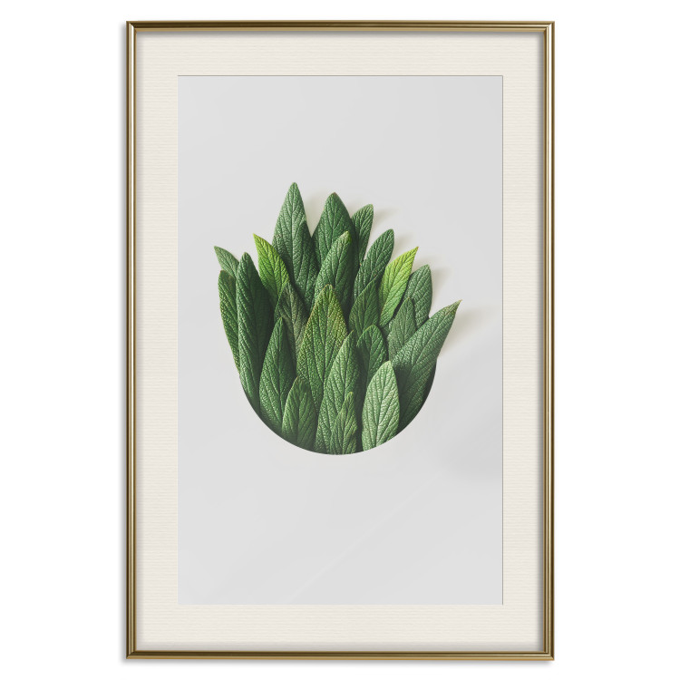 Poster Fragrant Circle - plant composition with green leaves on a white background 137278 additionalImage 5