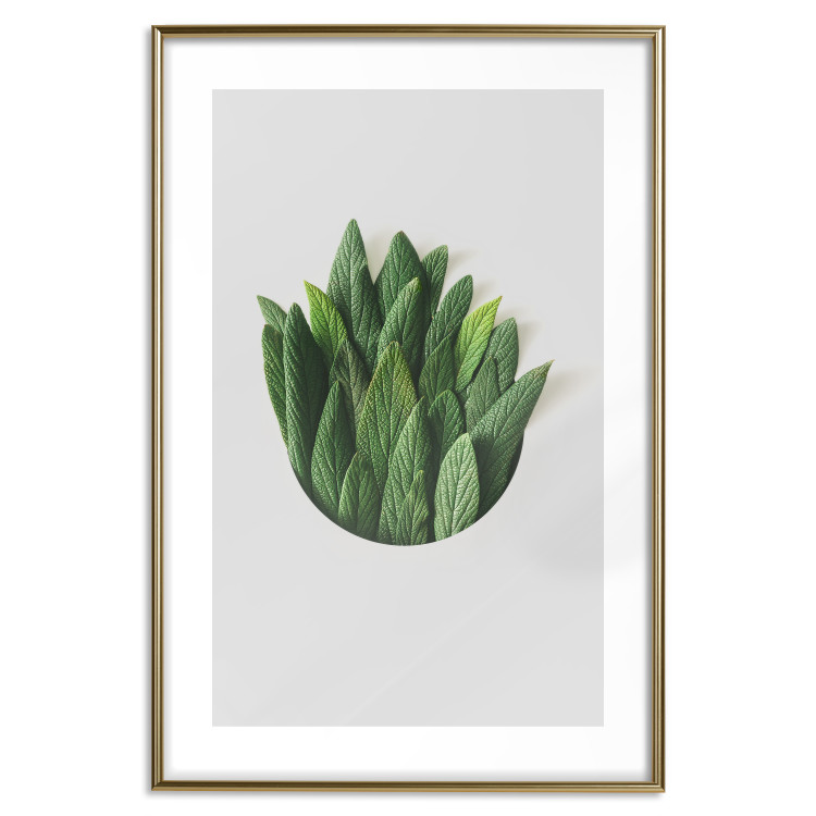 Poster Fragrant Circle - plant composition with green leaves on a white background 137278 additionalImage 7