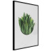 Poster Fragrant Circle - plant composition with green leaves on a white background 137278 additionalThumb 20