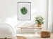 Poster Fragrant Circle - plant composition with green leaves on a white background 137278 additionalThumb 18