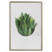 Poster Fragrant Circle - plant composition with green leaves on a white background 137278 additionalThumb 9