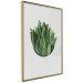Poster Fragrant Circle - plant composition with green leaves on a white background 137278 additionalThumb 26