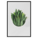 Poster Fragrant Circle - plant composition with green leaves on a white background 137278 additionalThumb 10