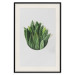 Poster Fragrant Circle - plant composition with green leaves on a white background 137278 additionalThumb 6