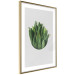 Poster Fragrant Circle - plant composition with green leaves on a white background 137278 additionalThumb 17