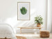 Poster Fragrant Circle - plant composition with green leaves on a white background 137278 additionalThumb 14